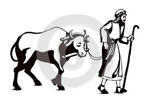 Vector drawing. A man leads an ox