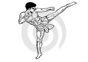 Vector drawing of Muay Thai sport of 1 person in black and white style.