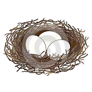 Vector drawing of outline bird nest from twigs with three white eggs isolated on white background. Bird house and family symbol.