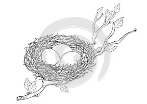 Vector drawing of outline tree branch with bird nest with three eggs in black isolated on white background. Bird family house.