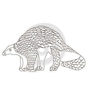 Vector drawing of pangolin in a outline, contour