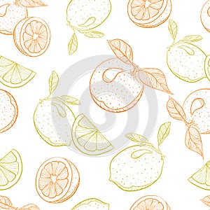 Vector drawing pattern of citrus orange and lemon photo