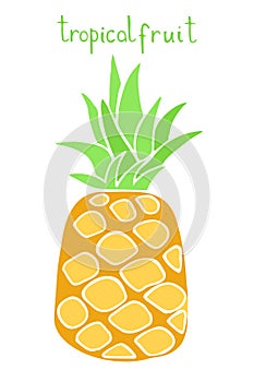 Vector drawing of a pineaplle. Bright art of fruit