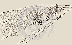 Vector drawing. Primitive agriculture. Peasants tr