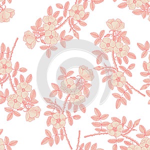 vector drawing seamless pattern with branch of sweet brier