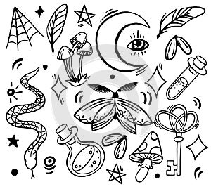 vector drawing, set of elements on the theme of magic, witchcraft. vintage drawing for halloween