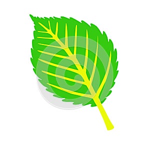 Vector drawing of simple leaf against white background