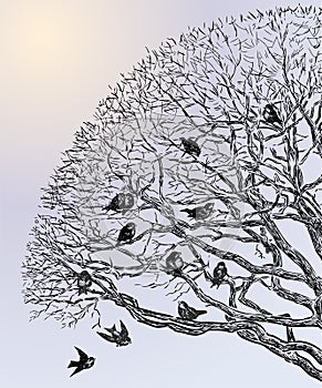 Vector drawing of sparrows flock on tree branches on cold winter day