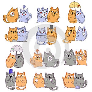 Vector drawn cats are doing different things on a white background