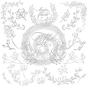 Vector Drawn Plants and Flowers, Wreaths, Corners, Branches