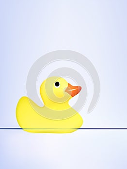 Vector duck swimming on water