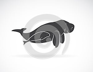 Vector of dugong mother and dugong child on white background. Animal. Mammal. Easy editable layered vector illustration