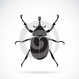 Vector of dynastinae on a white background. Insect. Animal.