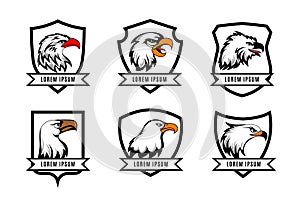 Vector eagle or american falcon heads with shields logo templates
