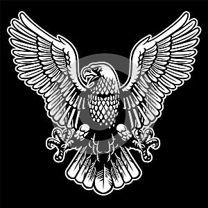 Eagle black and white
