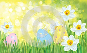 Vector Easter eggs in grass and daffodils.