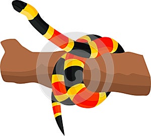 Vector Eastern coral snake illustration