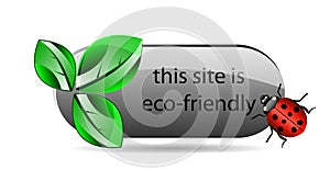 Vector eco button with green leaf and ladybug