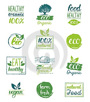Vector eco,organic,bio logo cards templates. Handwritten healthy eat icons set. Vegan, natural food and drinks signs.