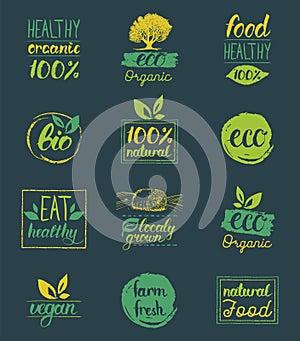 Vector eco,organic,bio logo cards templates. Handwritten healthy eat icons set. Vegan, natural food and drinks signs.