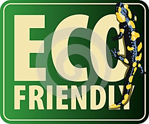 Vector Eco Sticker with European fire salamander