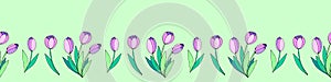 Vector edging, ribbon, border, row of pink tulip flowers. Nature spring summer ornament, decoration