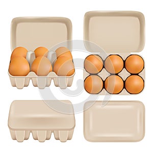 Vector egg carton consumer pack set