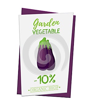 Vector eggplant poster, banner for discount, sale. Organic plant. Cartoon flat style