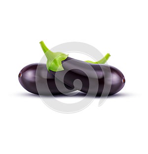 Vector eggplant on white background