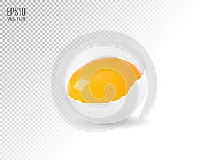 Vector eggs smashed against a transparent background. Realistic, 3d