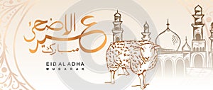 Vector Eid al adha banner design with hand drawn sheep for sacrifice with arabic calligraphy vintage elegant design photo