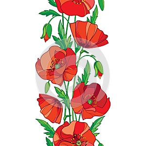 Vector elegance seamless pattern with outline red Poppy flower, bud and green leaves on the white background. Vertical border.