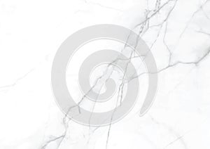Vector elegance white marble gray textured surface paper background