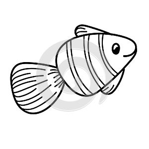 Vector element, black and white drawing of a marine inhabitant, cute little fish