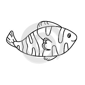 Vector element, black and white drawing of a marine inhabitant, cute little fish