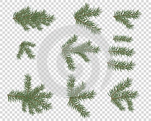 Vector elements of green fir branches. New year, merry Christmas spruce conifer decor, pattern on isolated transparent background.