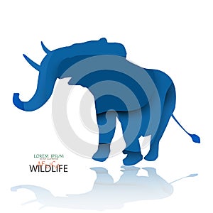 Vector of elephant, African Wildlife.