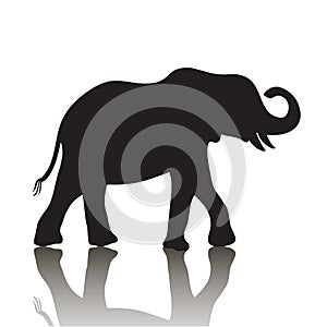 Vector elephant silhouette with shadow