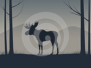 Vector an elk silhouette standing in a forest