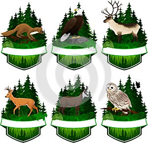 Vector endangered snail kite