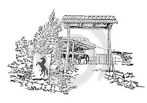 Vector engraved sketch style illustration of a horse stable with the silhouette of a horse inside the barn