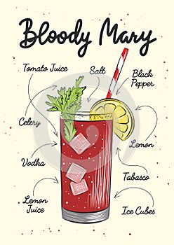 Vector engraved style Bloody Maryalcoholic cocktail illustration for posters, decoration, menu and print. Hand drawn sketch with