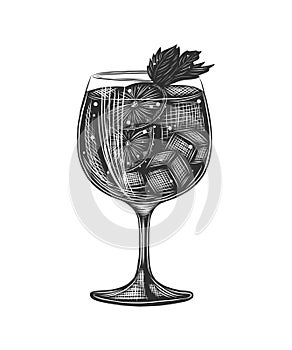 Vector engraved style Gin Tonic alcoholic cocktail illustration for posters, decoration, menu and print. Hand drawn sketch of