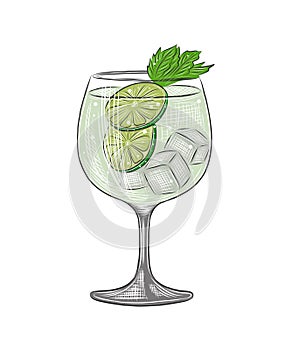 Vector engraved style Gin Tonic alcoholic cocktail illustration for posters, decoration, menu and print. Hand drawn sketch of