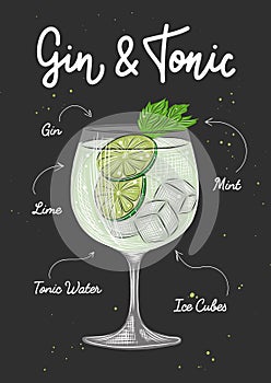 Vector engraved style Gin and Tonic cocktail illustration for posters, decoration, logo, menu and print. Hand drawn sketch with