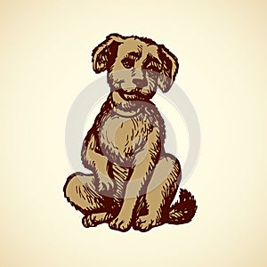 Vector engraving. Little puppy