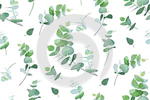 Vector eucalyptus tree greenery, green leaves, branches seamless pattern. Beautiful botanical watercolor textile fabric,