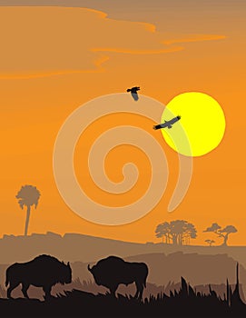 Vector evening landscape illustration