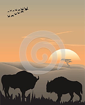 Vector evening landscape illustration