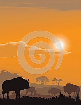 Vector evening landscape illustration